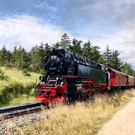 Fewo Schlossblick #Innenstadt #Garten #Netflix Von Harztraveler Wernigerode Dış mekan fotoğraf