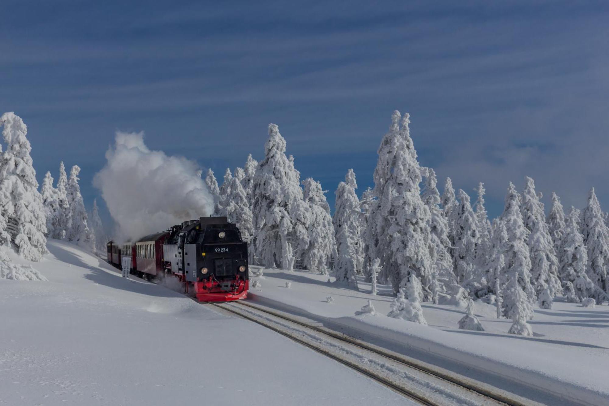 Fewo Schlossblick #Innenstadt #Garten #Netflix Von Harztraveler Wernigerode Dış mekan fotoğraf